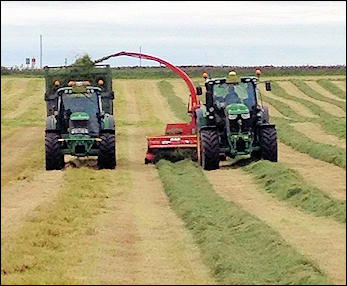 Grasslands Services