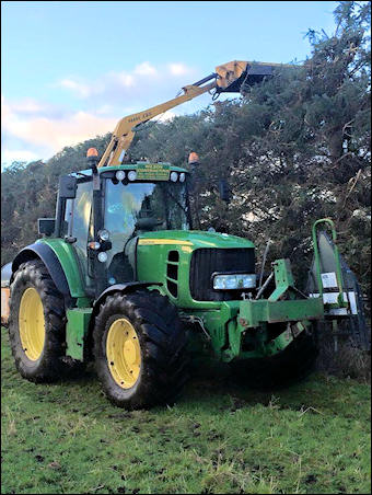 Hedge Cutting